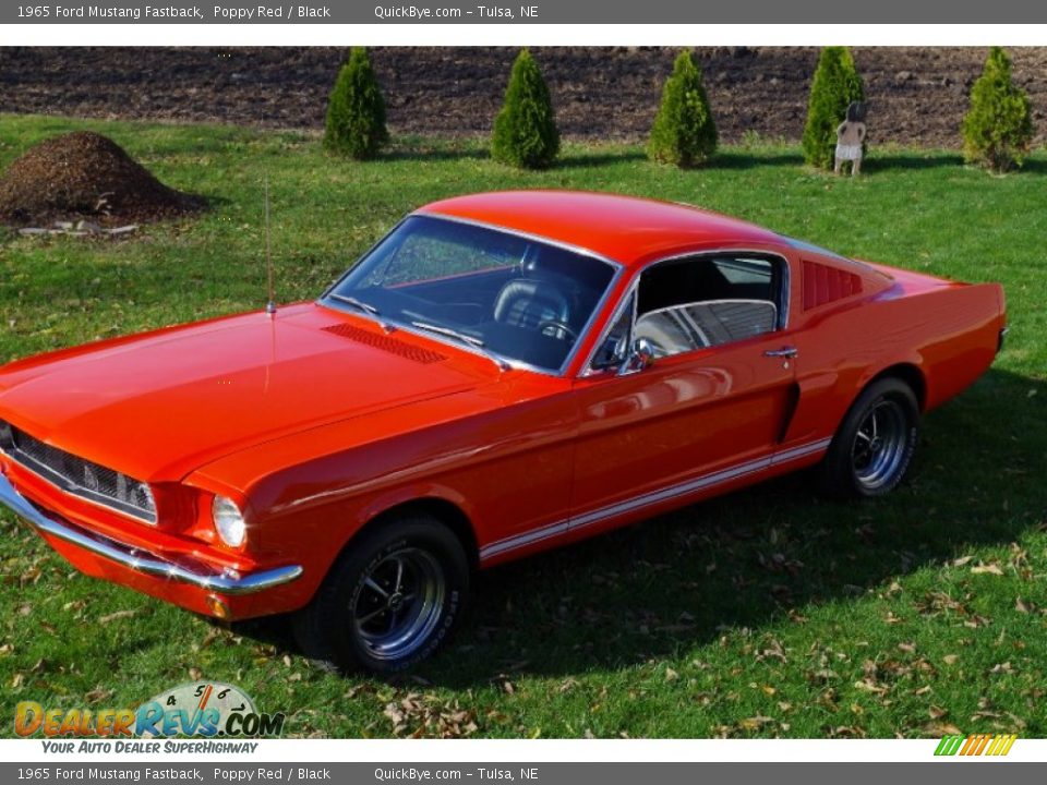 1965 Ford Mustang Fastback Poppy Red / Black Photo #3