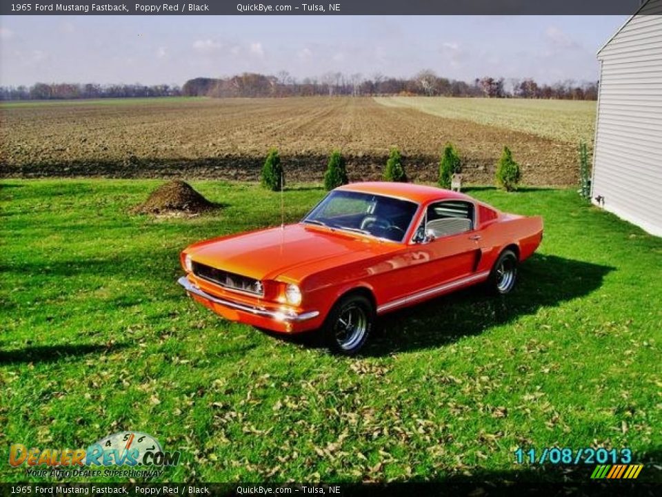 1965 Ford Mustang Fastback Poppy Red / Black Photo #5