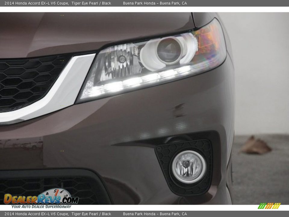 2014 Honda Accord EX-L V6 Coupe Tiger Eye Pearl / Black Photo #6