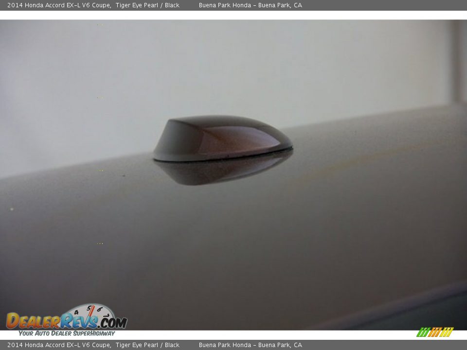 2014 Honda Accord EX-L V6 Coupe Tiger Eye Pearl / Black Photo #8