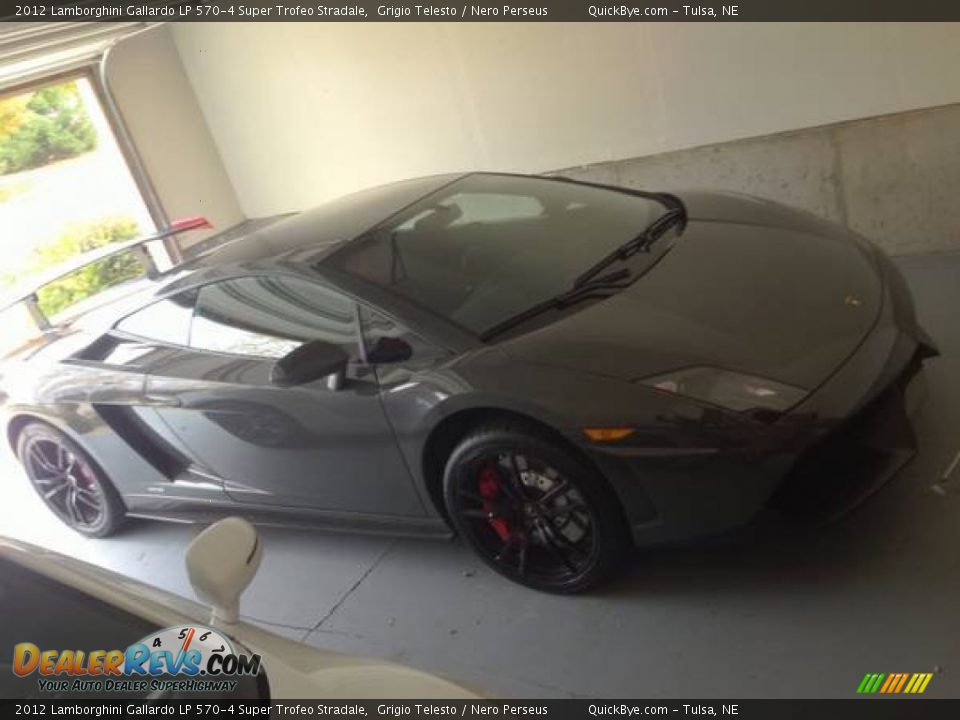 2012 Lamborghini Gallardo LP 570-4 Super Trofeo Stradale Grigio Telesto / Nero Perseus Photo #2