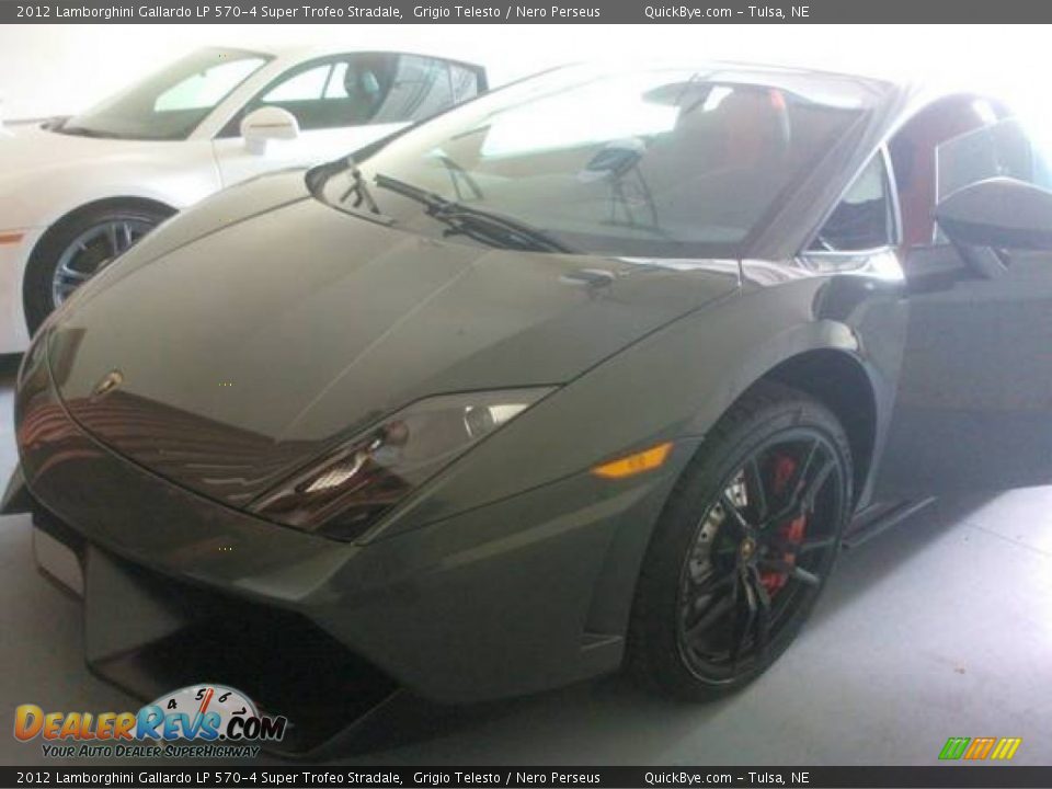 2012 Lamborghini Gallardo LP 570-4 Super Trofeo Stradale Grigio Telesto / Nero Perseus Photo #3