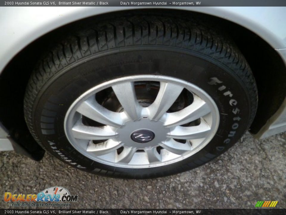 2003 Hyundai Sonata GLS V6 Brilliant Silver Metallic / Black Photo #9