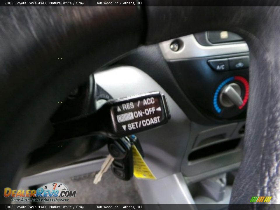 2003 Toyota RAV4 4WD Natural White / Gray Photo #21