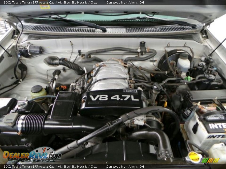 2002 Toyota Tundra SR5 Access Cab 4x4 Silver Sky Metallic / Gray Photo #6