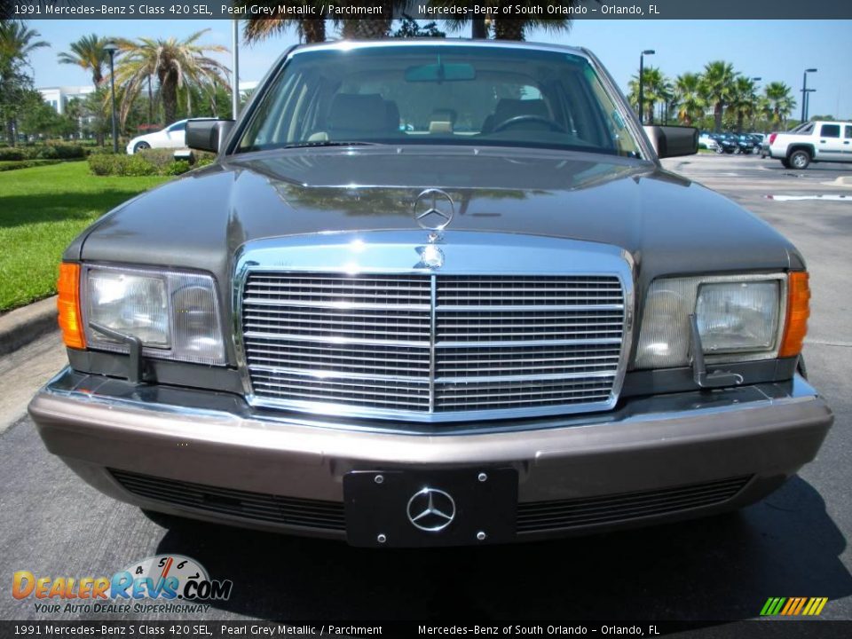 1991 Mercedes-Benz S Class 420 SEL Pearl Grey Metallic / Parchment Photo #3
