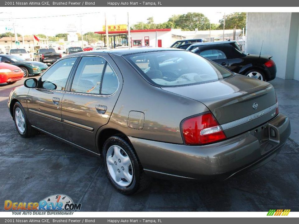 2001 Nissan Altima GXE Brushed Pewter / Blond Photo #4