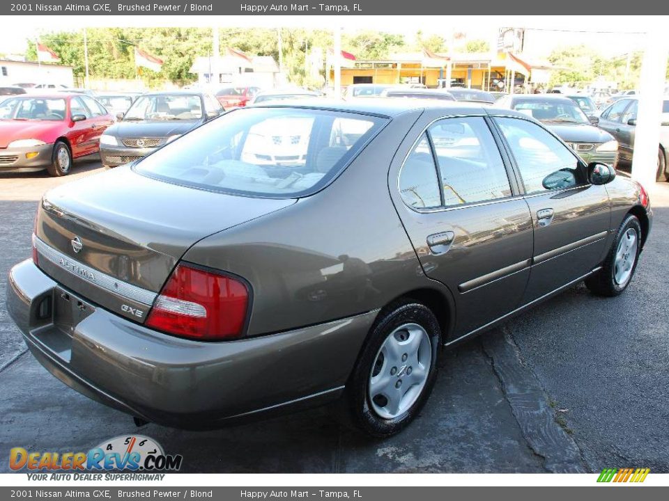 2001 Nissan Altima GXE Brushed Pewter / Blond Photo #6