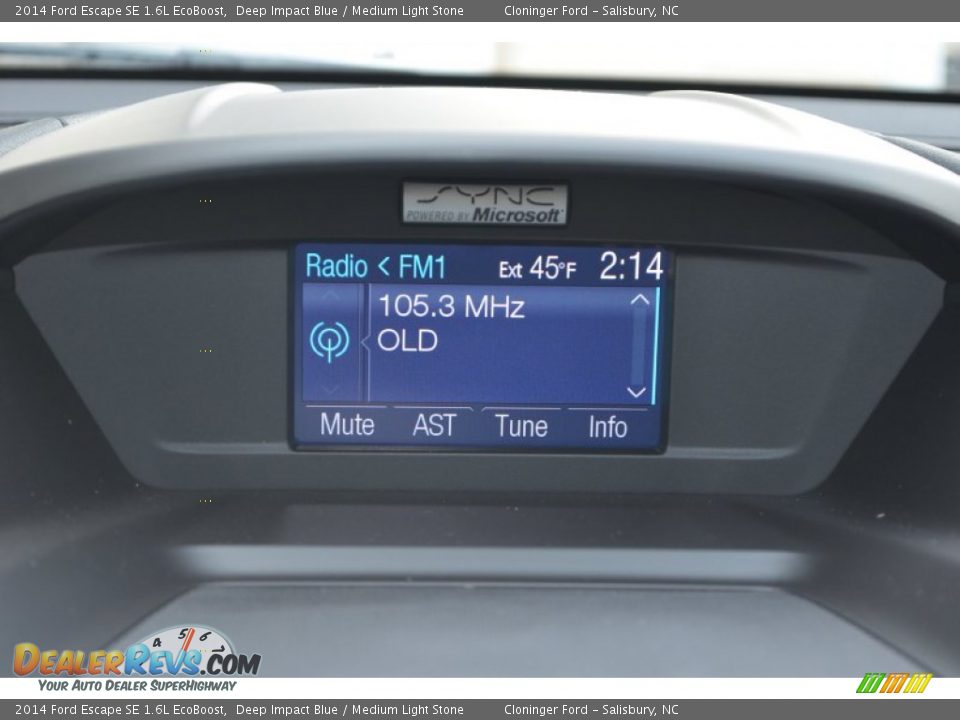 2014 Ford Escape SE 1.6L EcoBoost Deep Impact Blue / Medium Light Stone Photo #13