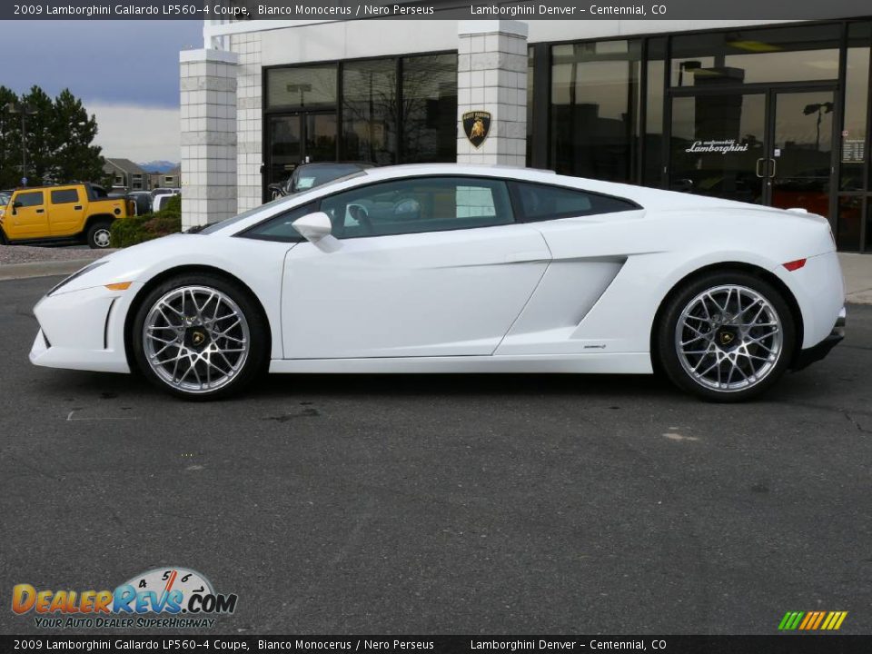 2009 Lamborghini Gallardo LP560-4 Coupe Bianco Monocerus / Nero Perseus Photo #11