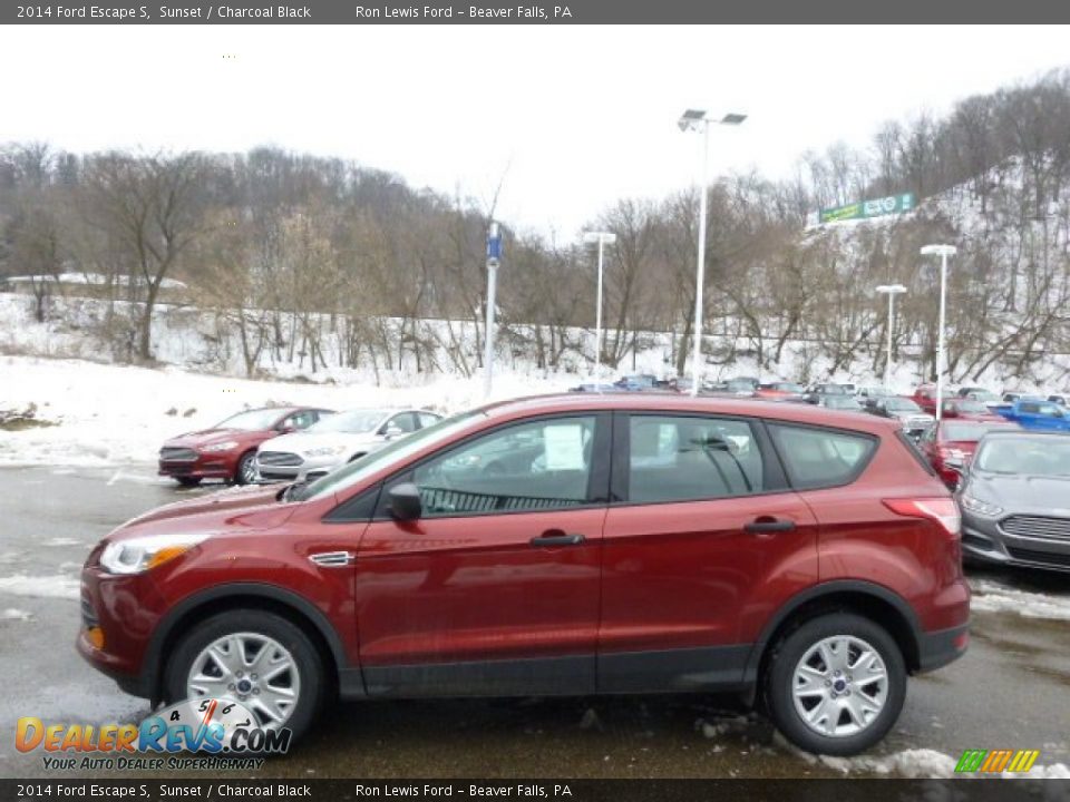 2014 Ford Escape S Sunset / Charcoal Black Photo #5
