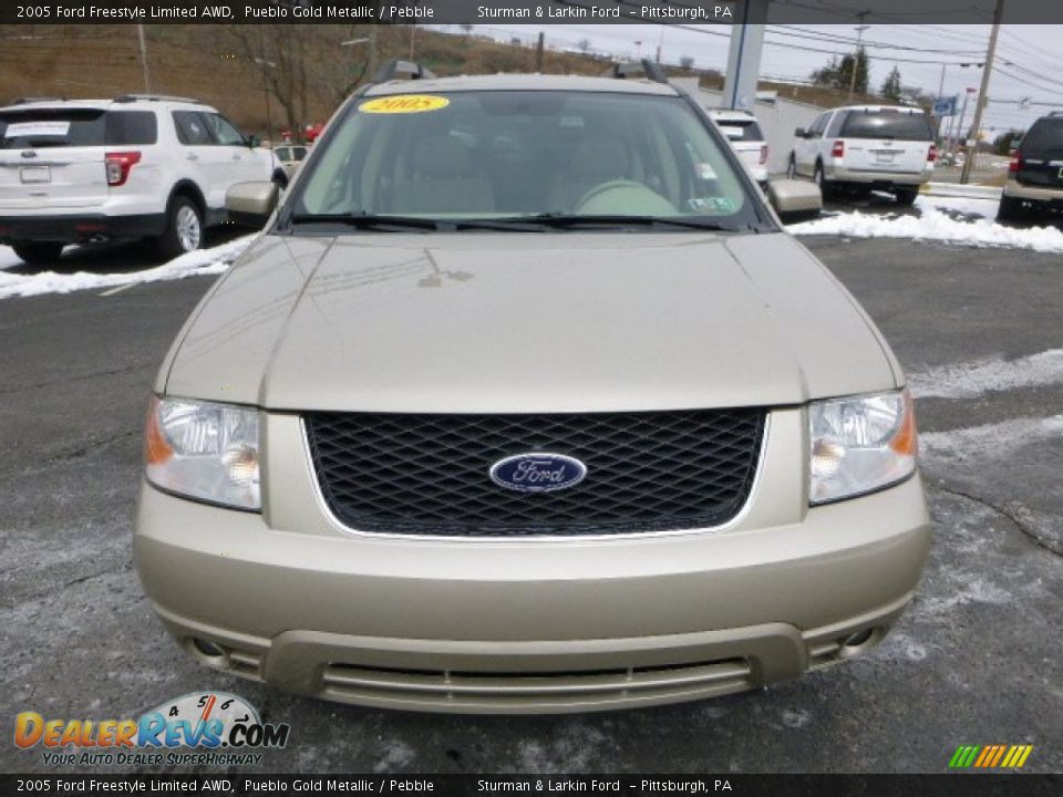 2005 Ford Freestyle Limited AWD Pueblo Gold Metallic / Pebble Photo #6