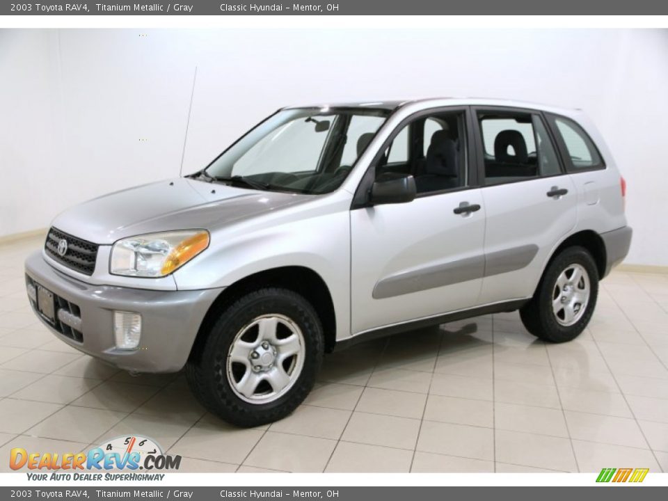 2003 Toyota RAV4 Titanium Metallic / Gray Photo #3