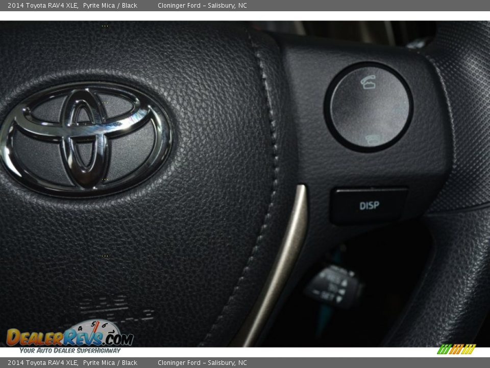 2014 Toyota RAV4 XLE Pyrite Mica / Black Photo #20
