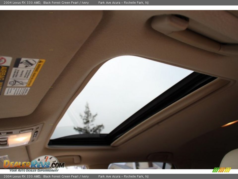 2004 Lexus RX 330 AWD Black Forest Green Pearl / Ivory Photo #19