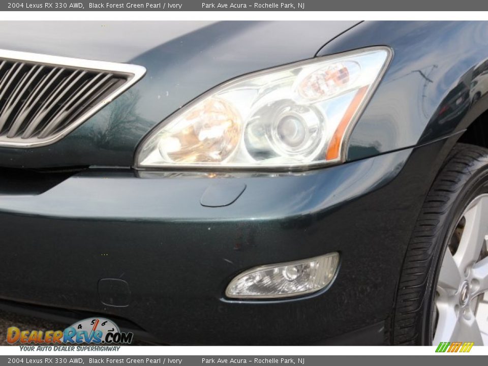 2004 Lexus RX 330 AWD Black Forest Green Pearl / Ivory Photo #29