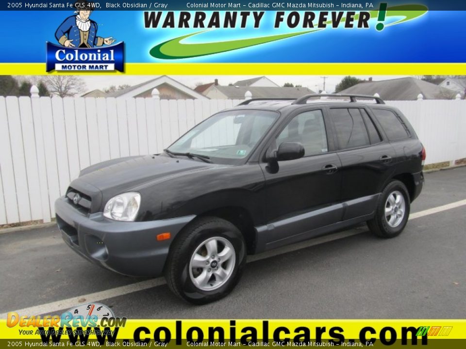 2005 Hyundai Santa Fe GLS 4WD Black Obsidian / Gray Photo #1
