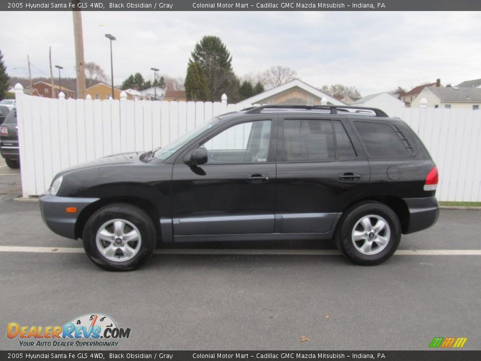 2005 Hyundai Santa Fe GLS 4WD Black Obsidian / Gray Photo #2