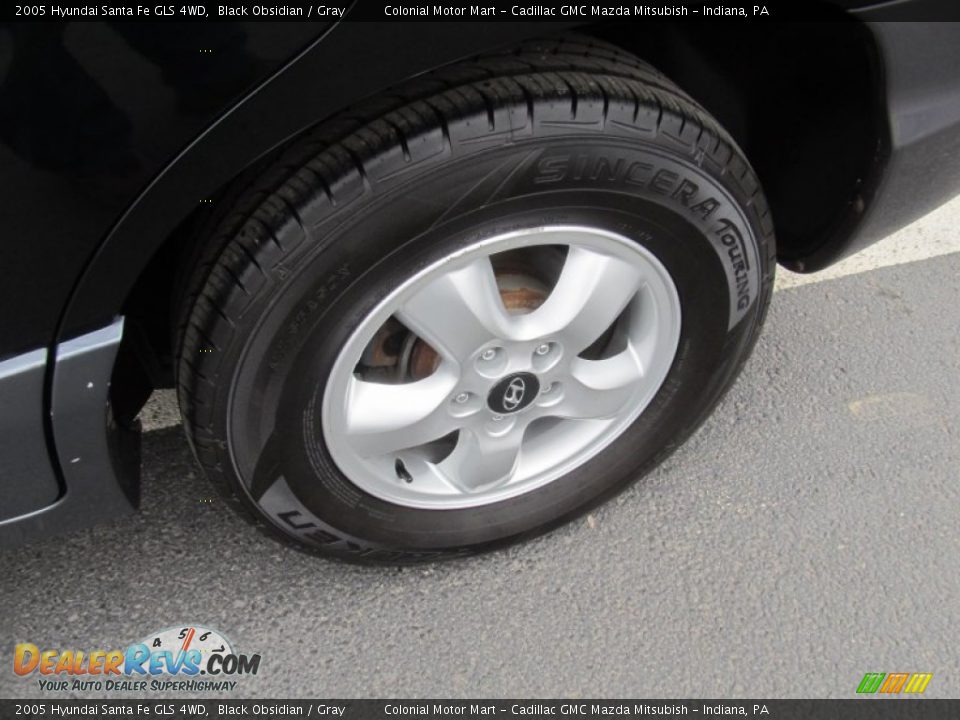 2005 Hyundai Santa Fe GLS 4WD Black Obsidian / Gray Photo #3