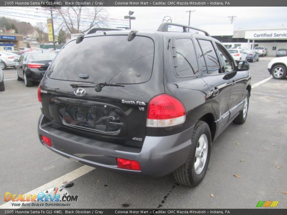 2005 Hyundai Santa Fe GLS 4WD Black Obsidian / Gray Photo #6