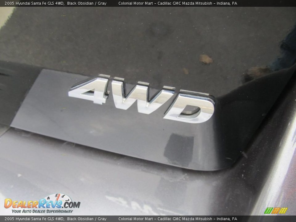 2005 Hyundai Santa Fe GLS 4WD Black Obsidian / Gray Photo #7