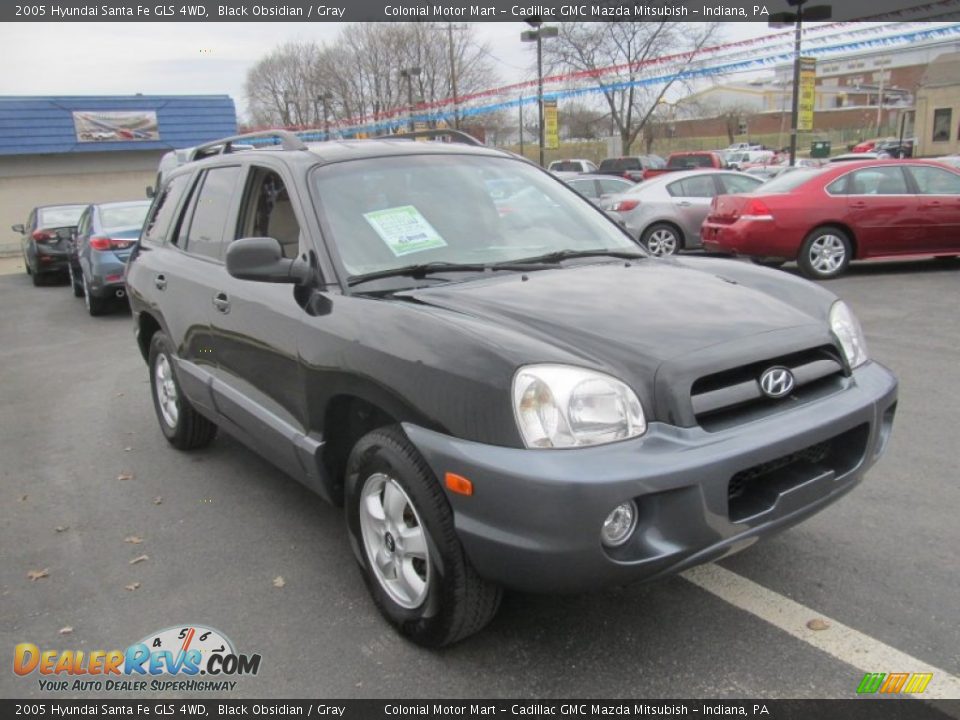 2005 Hyundai Santa Fe GLS 4WD Black Obsidian / Gray Photo #8
