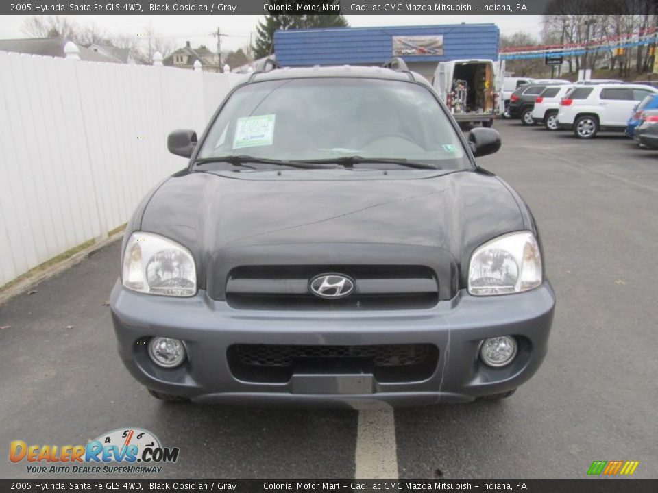 2005 Hyundai Santa Fe GLS 4WD Black Obsidian / Gray Photo #9