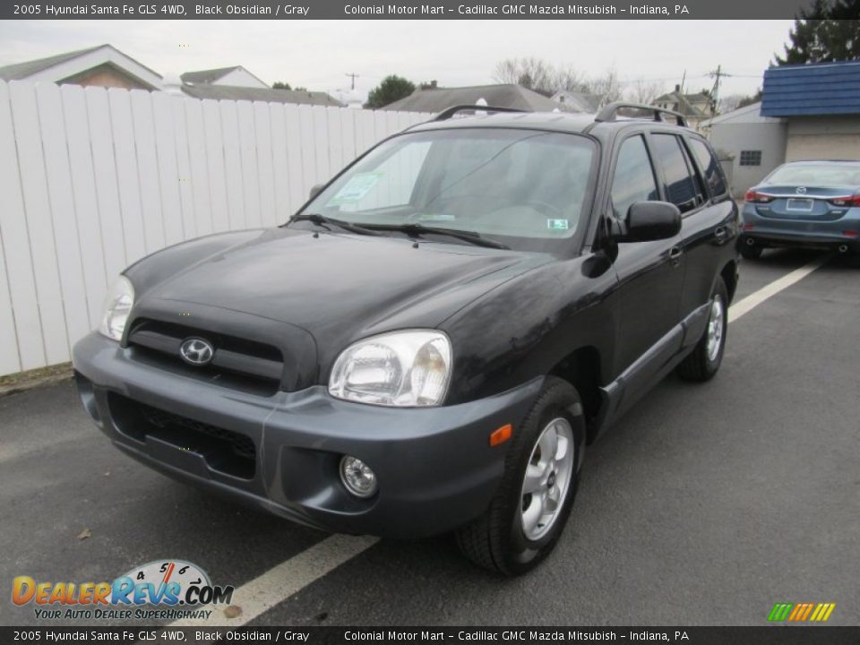 2005 Hyundai Santa Fe GLS 4WD Black Obsidian / Gray Photo #10