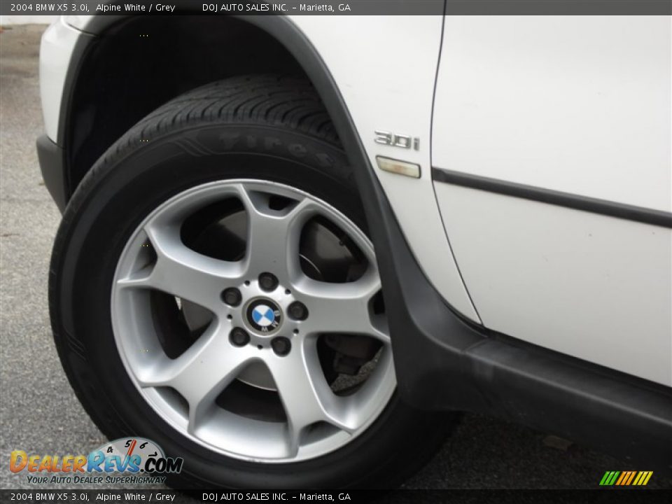 2004 BMW X5 3.0i Alpine White / Grey Photo #32