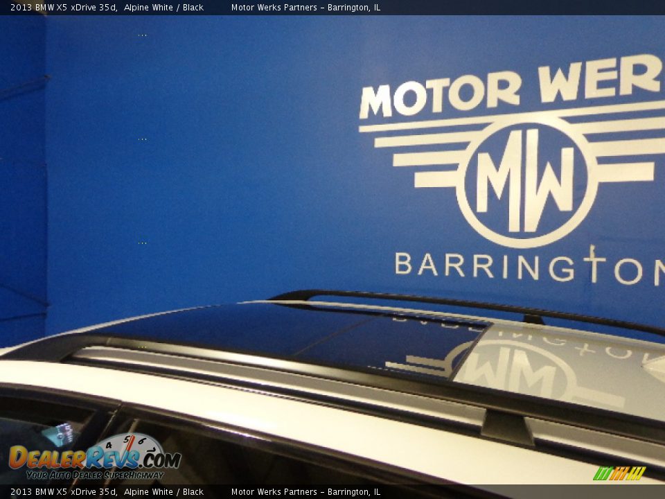 2013 BMW X5 xDrive 35d Alpine White / Black Photo #13