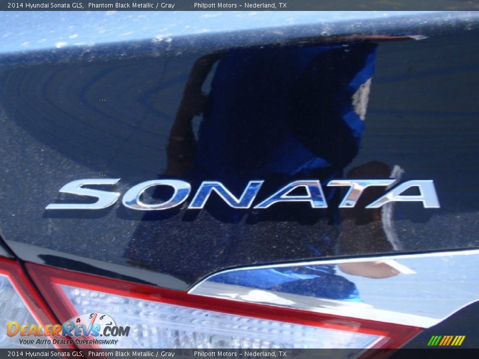 2014 Hyundai Sonata GLS Phantom Black Metallic / Gray Photo #13