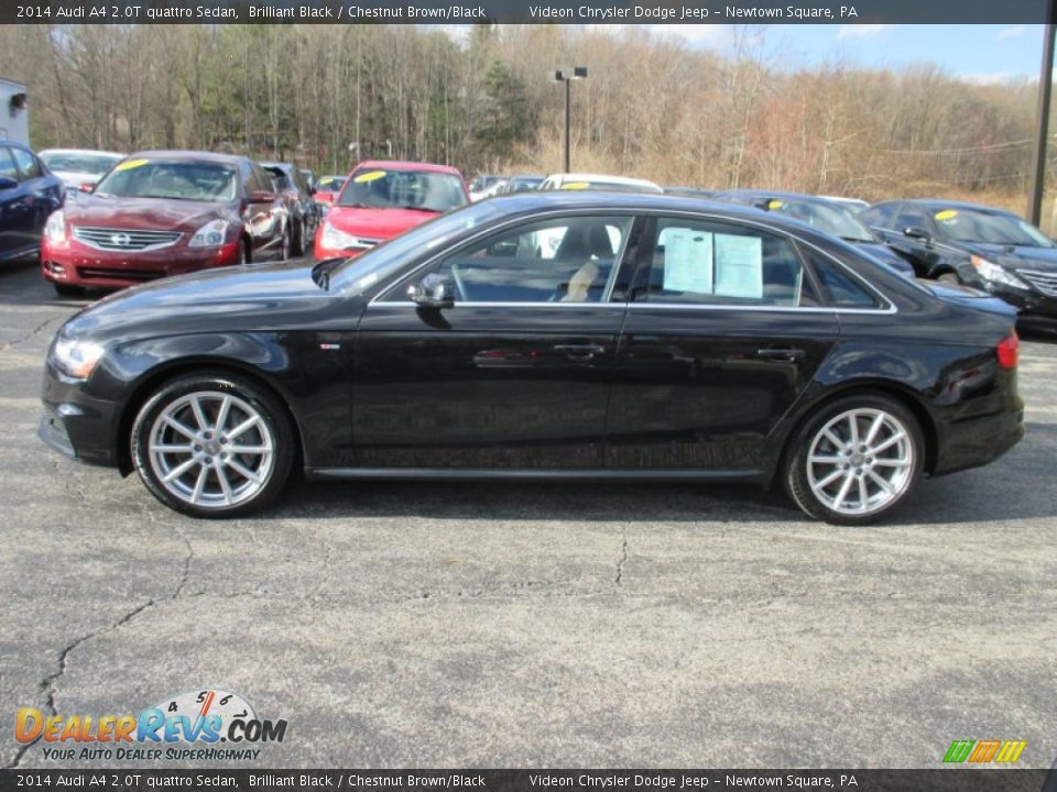 2014 Audi A4 2.0T quattro Sedan Brilliant Black / Chestnut Brown/Black Photo #6