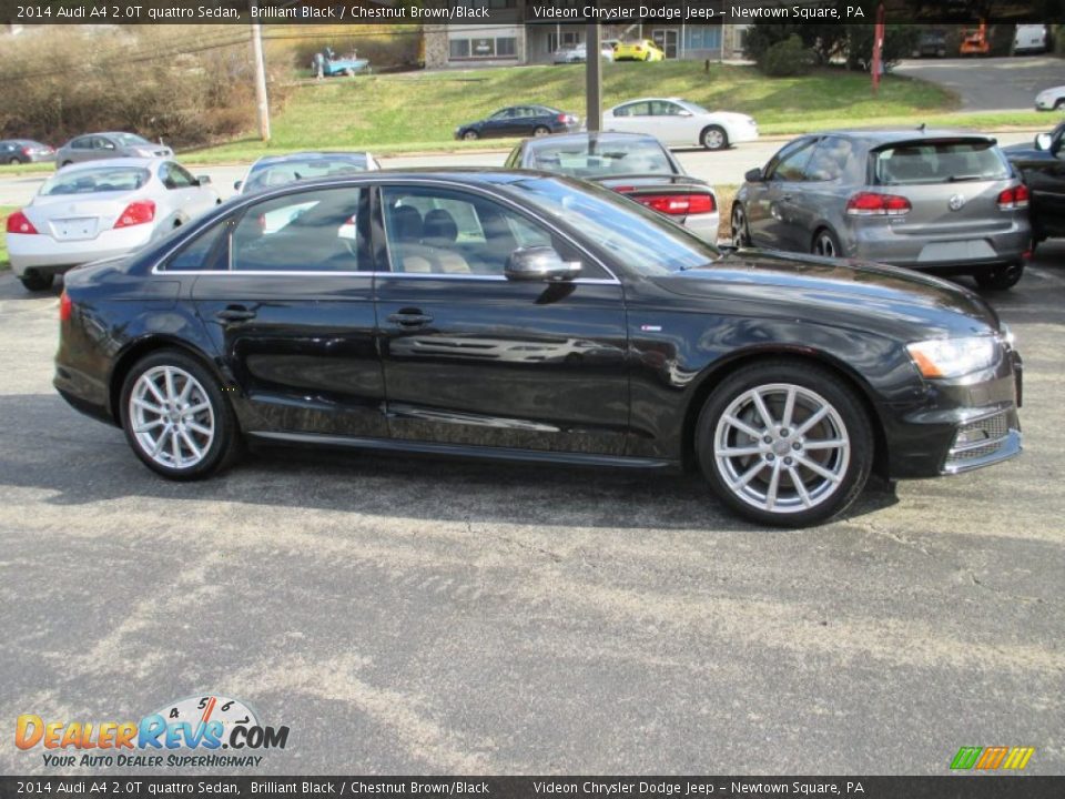 2014 Audi A4 2.0T quattro Sedan Brilliant Black / Chestnut Brown/Black Photo #13