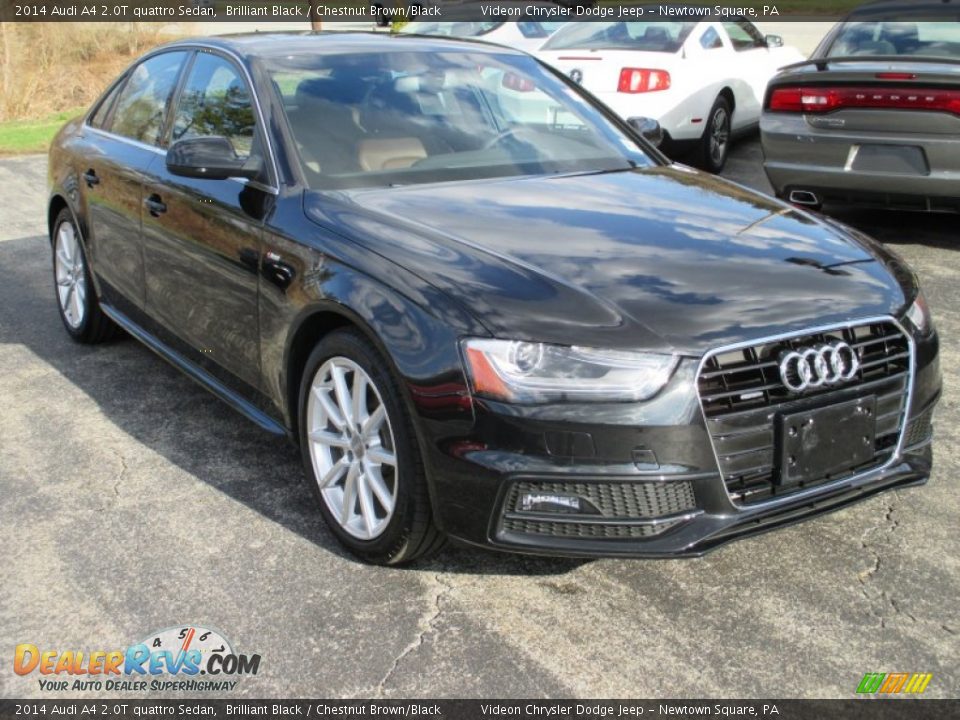 2014 Audi A4 2.0T quattro Sedan Brilliant Black / Chestnut Brown/Black Photo #15