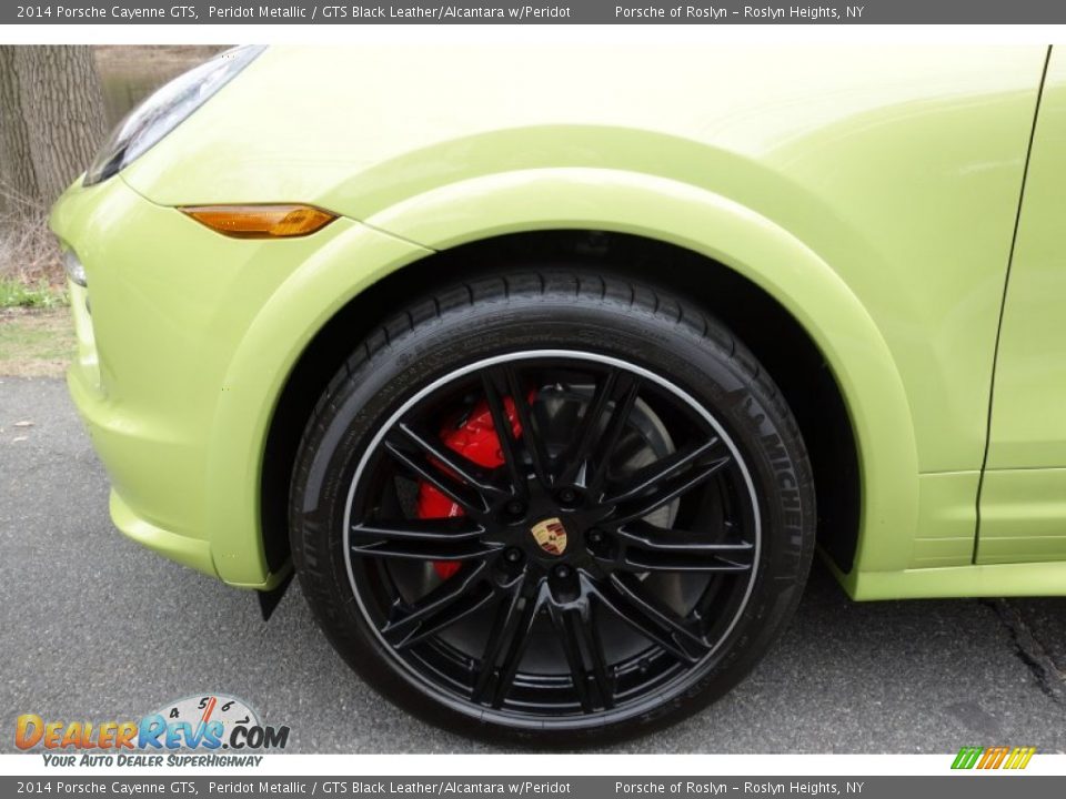 2014 Porsche Cayenne GTS Wheel Photo #9