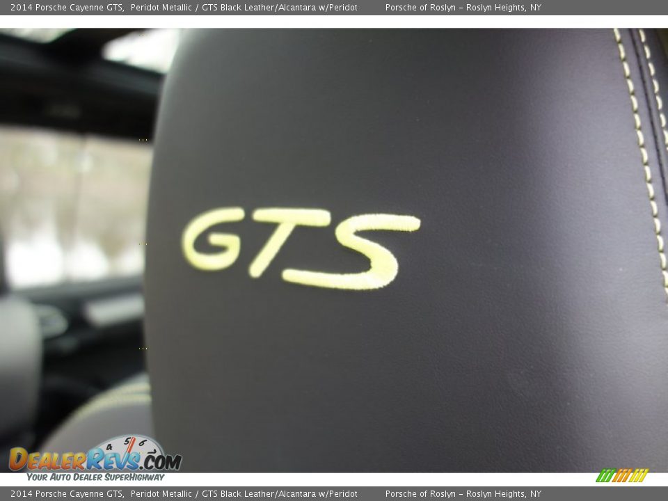 2014 Porsche Cayenne GTS Logo Photo #25