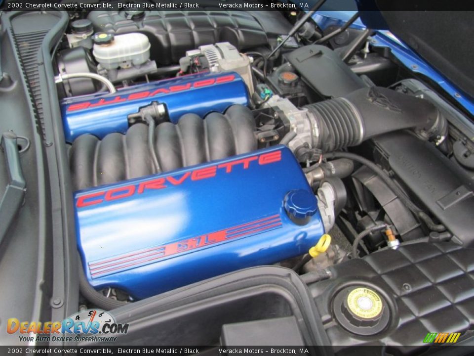 2002 Chevrolet Corvette Convertible Electron Blue Metallic / Black Photo #13