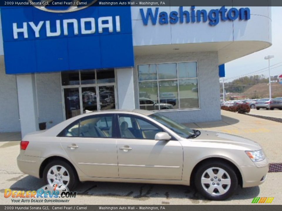 2009 Hyundai Sonata GLS Camel Pearl / Camel Photo #2