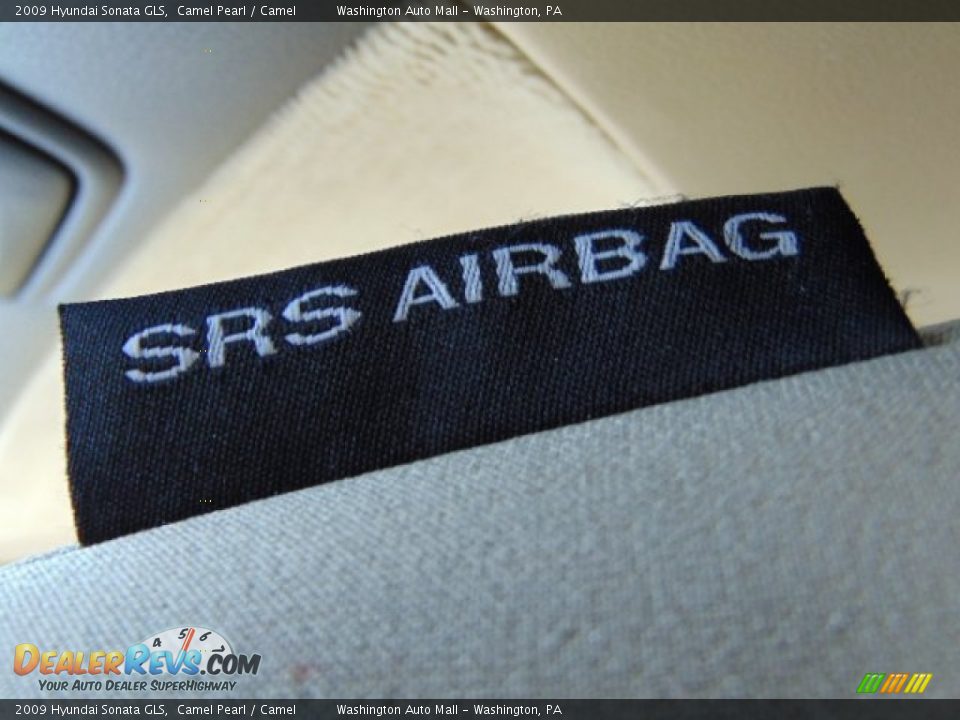 2009 Hyundai Sonata GLS Camel Pearl / Camel Photo #12