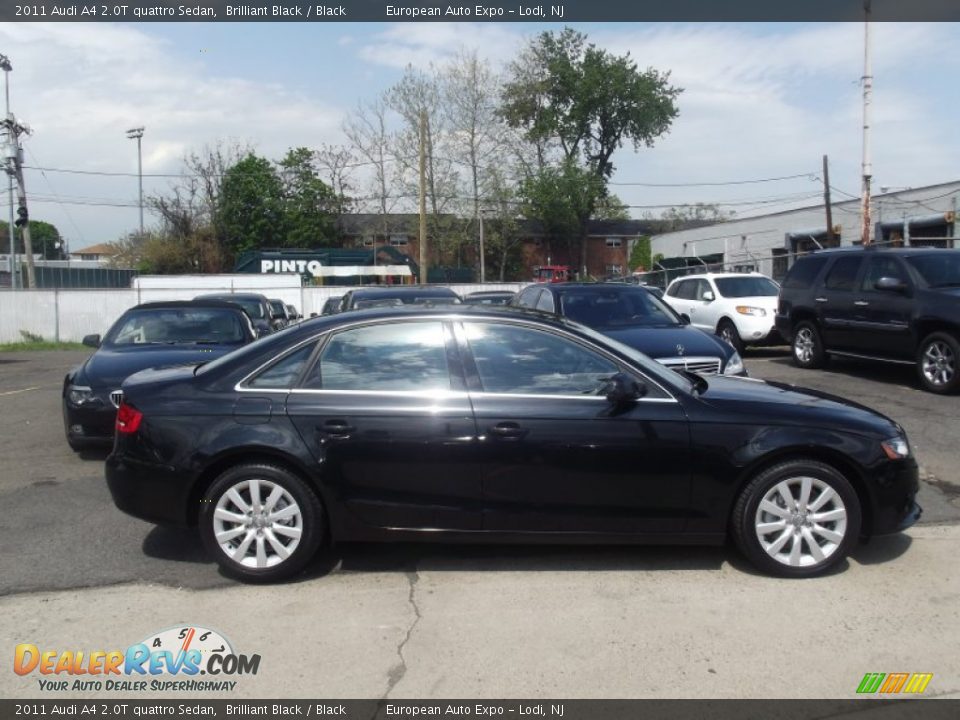 2011 Audi A4 2.0T quattro Sedan Brilliant Black / Black Photo #6
