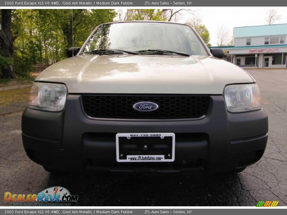 2003 Ford Escape XLS V6 4WD Gold Ash Metallic / Medium Dark Pebble Photo #2