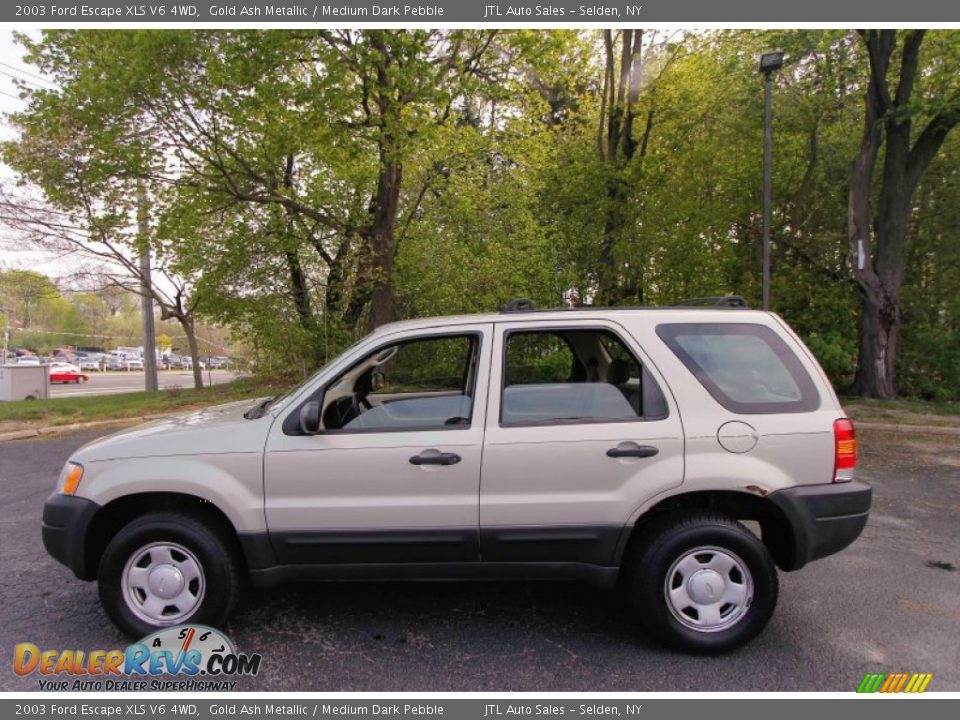 2003 Ford Escape XLS V6 4WD Gold Ash Metallic / Medium Dark Pebble Photo #3