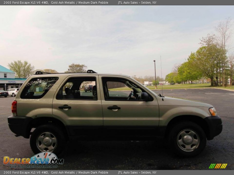 2003 Ford Escape XLS V6 4WD Gold Ash Metallic / Medium Dark Pebble Photo #8
