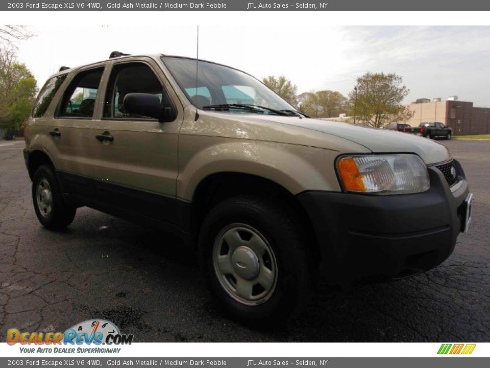 2003 Ford Escape XLS V6 4WD Gold Ash Metallic / Medium Dark Pebble Photo #9