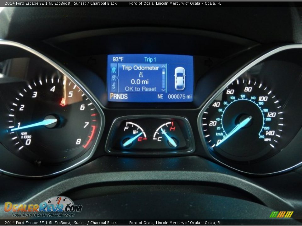 2014 Ford Escape SE 1.6L EcoBoost Sunset / Charcoal Black Photo #9