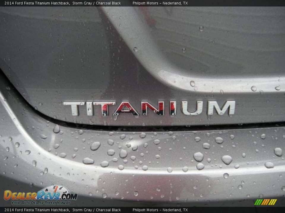 2014 Ford Fiesta Titanium Hatchback Storm Gray / Charcoal Black Photo #14