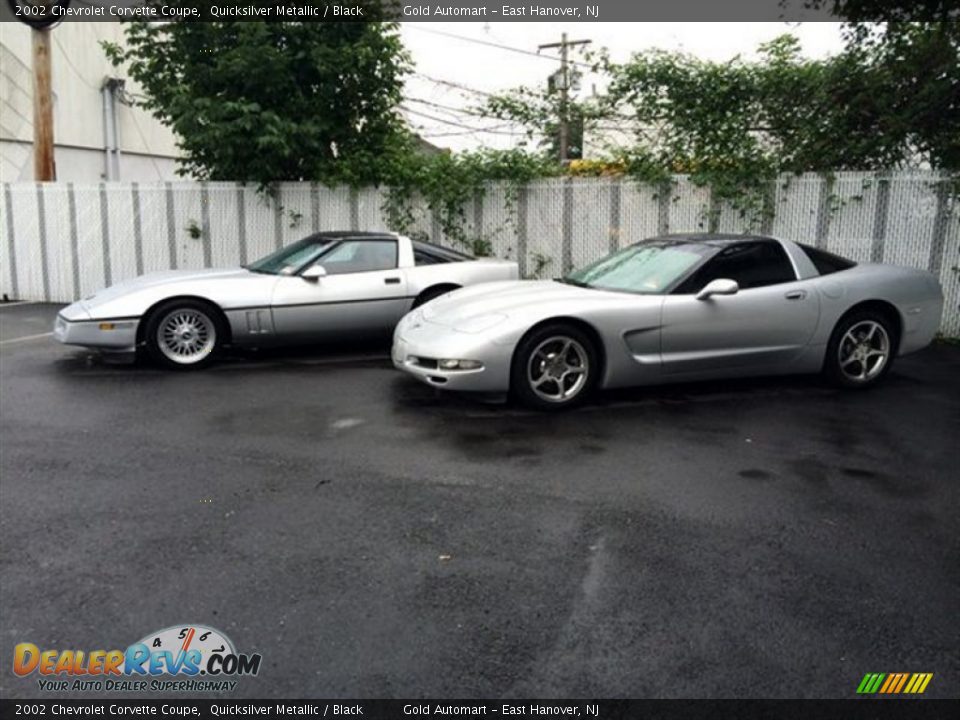 2002 Chevrolet Corvette Coupe Quicksilver Metallic / Black Photo #14