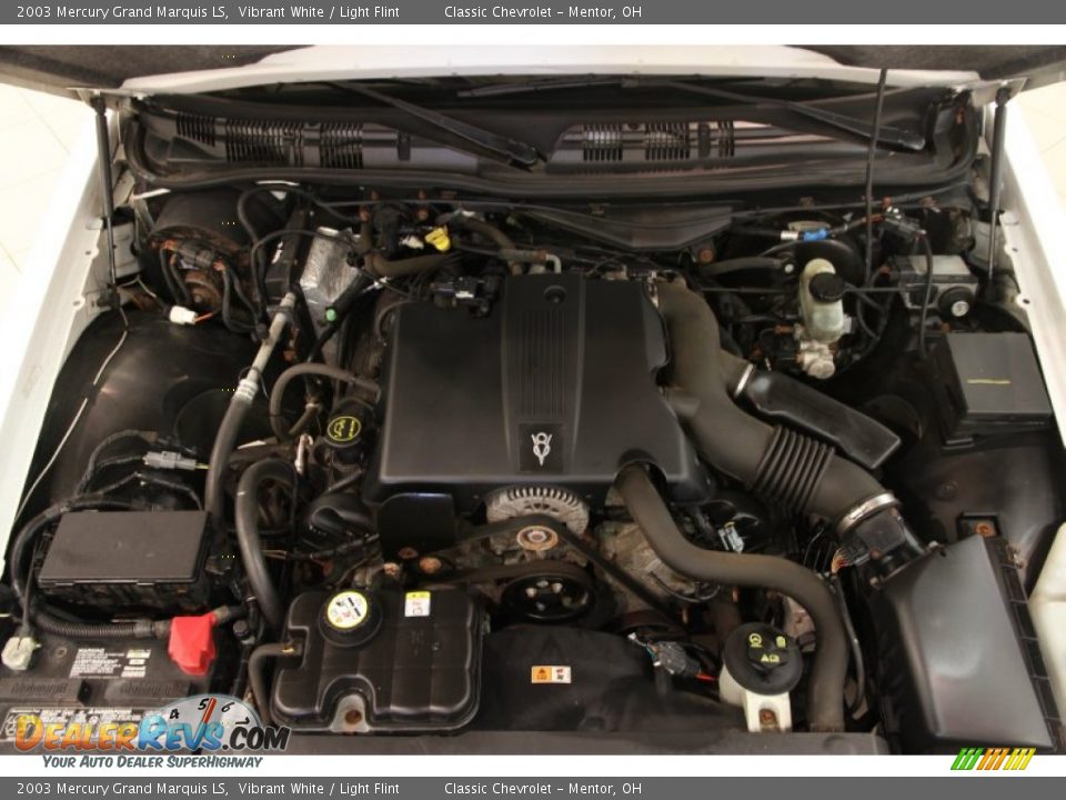 2003 Mercury Grand Marquis LS Vibrant White / Light Flint Photo #11