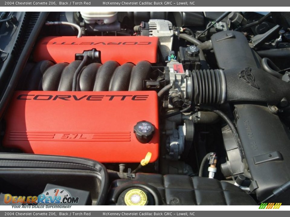2004 Chevrolet Corvette Z06 Black / Torch Red Photo #23