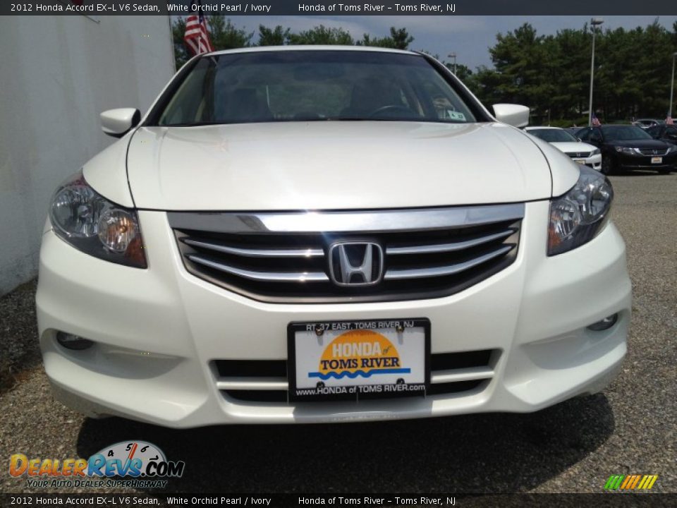2012 Honda Accord EX-L V6 Sedan White Orchid Pearl / Ivory Photo #4